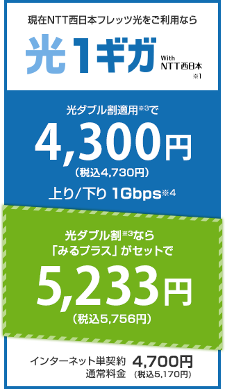 光1ギガ料金プラン