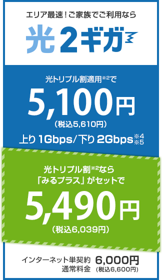 光2ギガ料金プラン